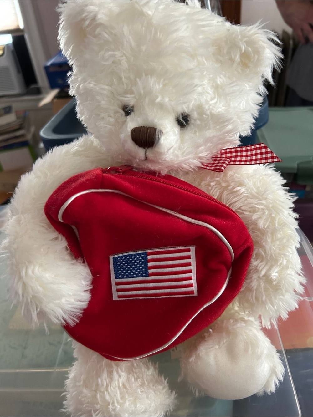 Plush White Teddy Bear with Red American Flag Pouch